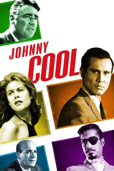 Póster de Johnny, el frío