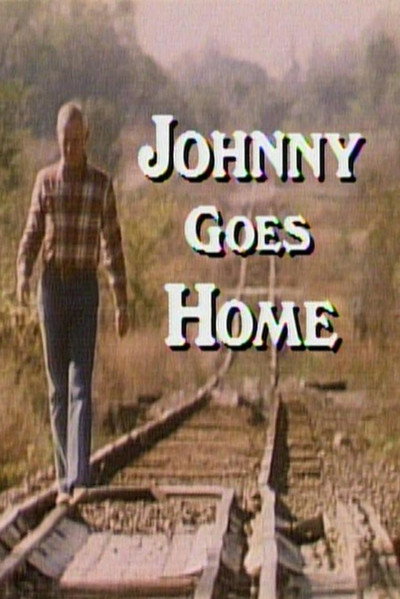 Póster de Johnny Goes Home