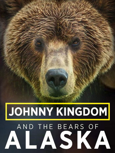 Póster de Johnny Kingdom and the Bears of Alaska