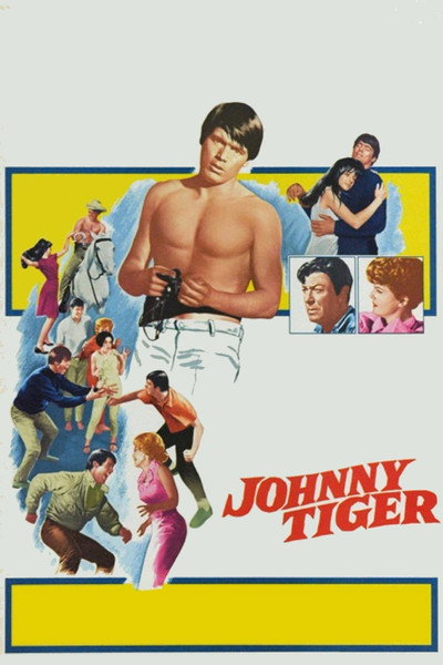 Póster de Johnny Tiger