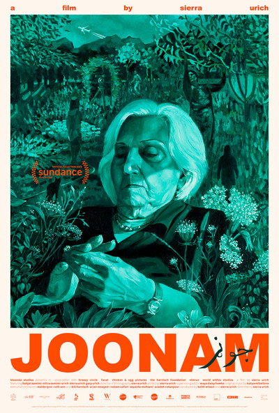 Póster de Joonam