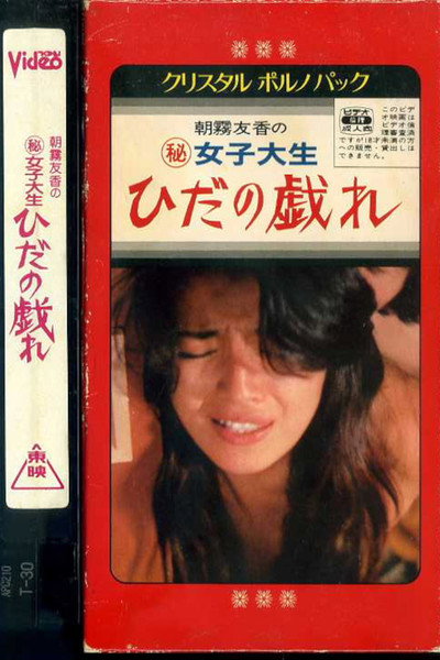 Póster de Joshi daisei: Hida no tawamure