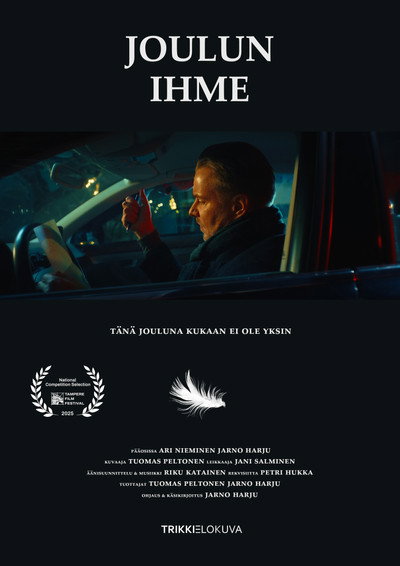 Póster de Joulun Ihme