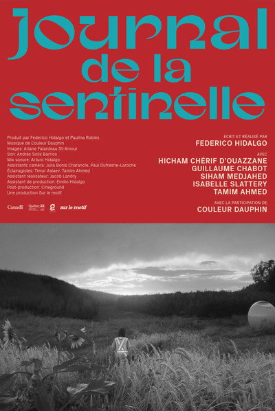 Póster de Journal de la sentinelle
