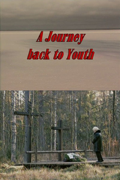 Póster de Journey Back to Youth