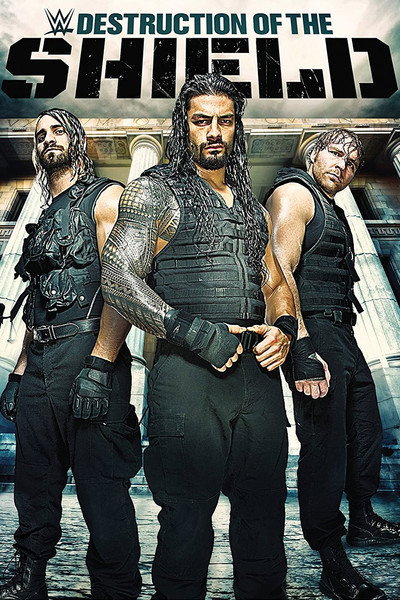 Póster de Journey to SummerSlam: The Destruction of the Shield