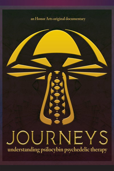 Póster de Journeys