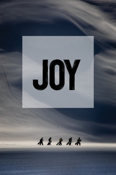Póster de Joy