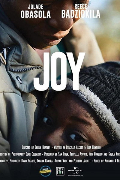Póster de Joy