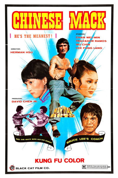 Póster de Jue zhao