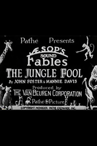 Póster de Jungle Fool