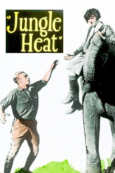 Póster de Jungle Heat