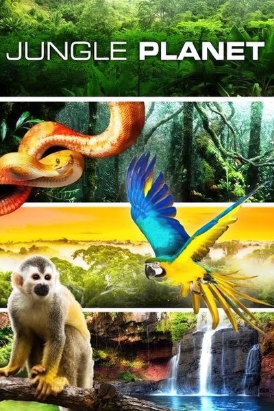Póster de Jungle Planet