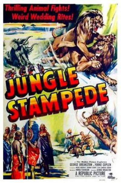 Póster de Jungle Stampede