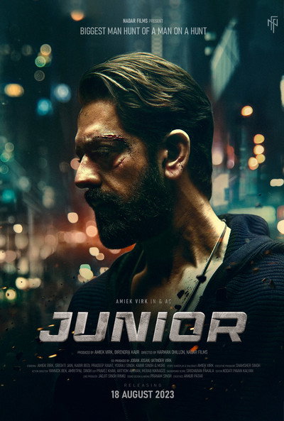 Póster de Junior