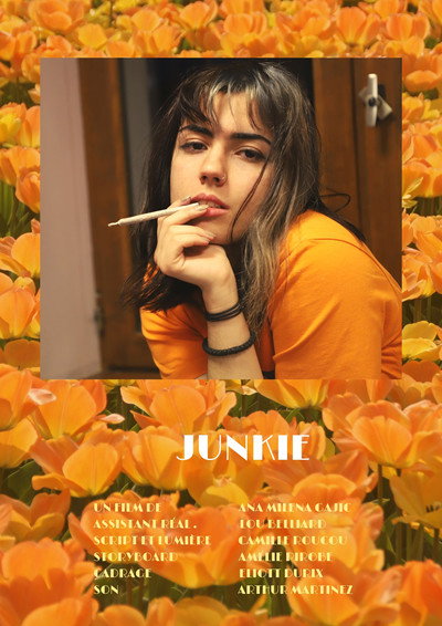 Póster de Junkie