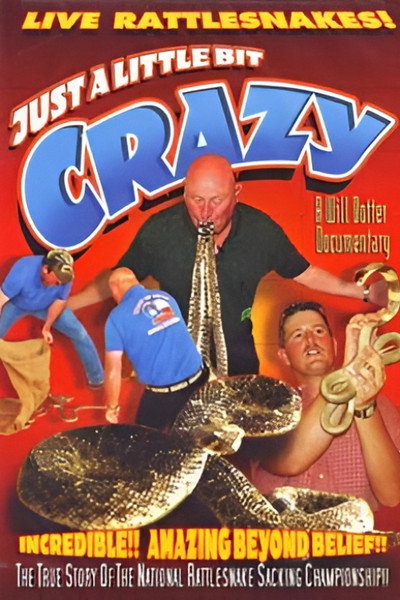 Póster de Just a Little Bit Crazy