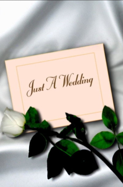 Póster de Just a Wedding