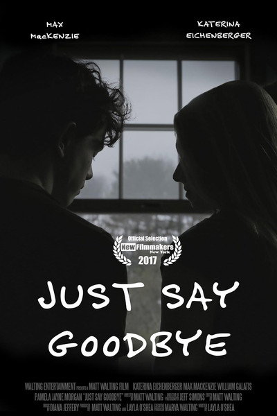 Póster de Just Say Goodbye