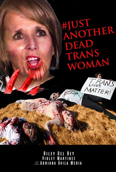 Póster de #JustAnotherDeadTranswoman