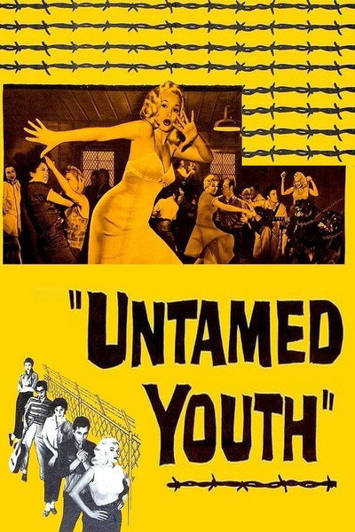 Póster de Juventud indomable