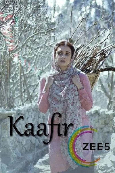 Póster de Kaafir