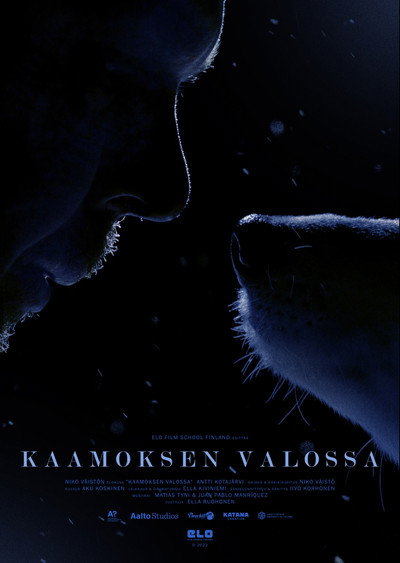 Póster de Kaamoksen Valossa