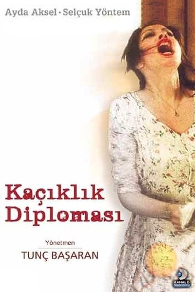 Póster de Kaçiklik Diplomasi