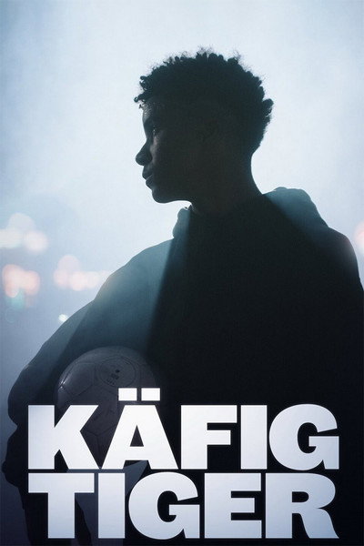 Póster de Käfigtiger