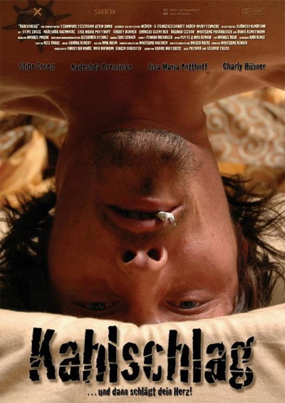 Póster de Kahlschlag