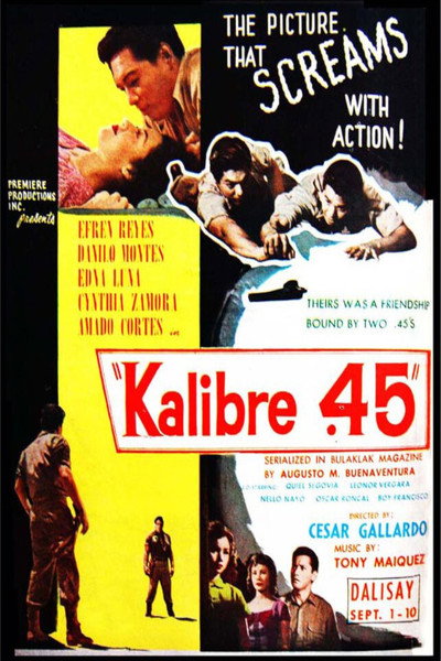 Póster de Kalibre .45