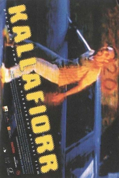 Póster de Kallafiorr