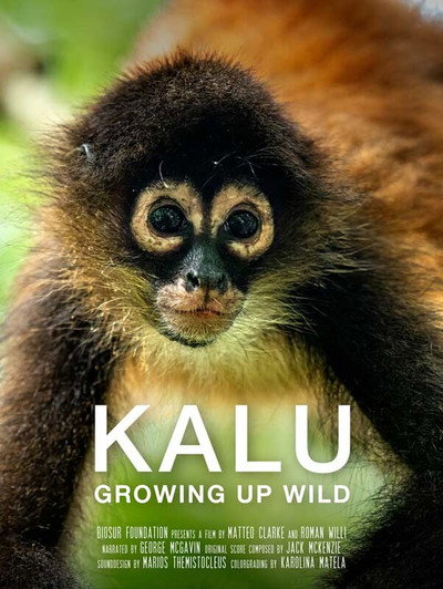Póster de Kalu: Growing Up Wild