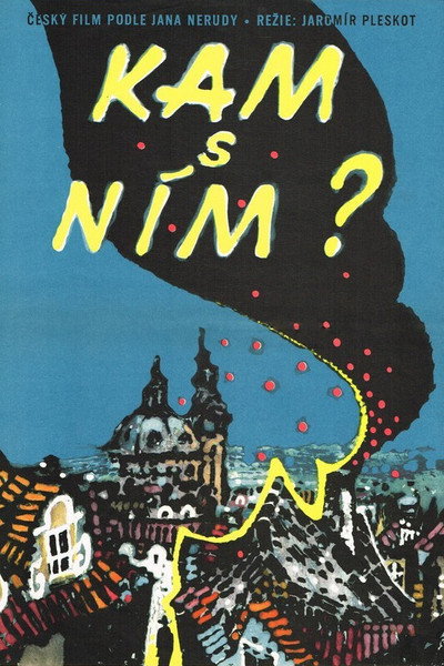 Póster de Kam s ním