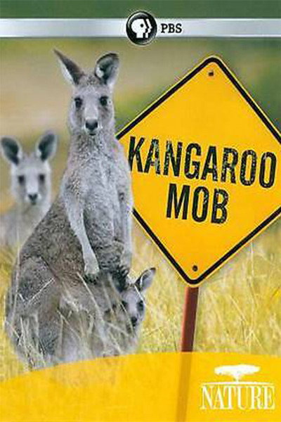 Póster de Kangaroo Mob