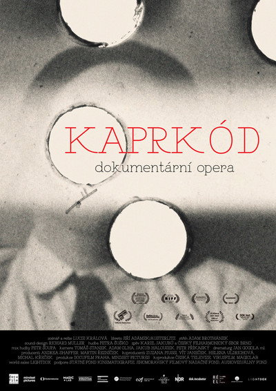 Póster de Kapr Code