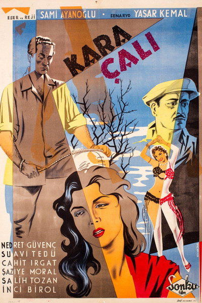 Póster de Kara çali