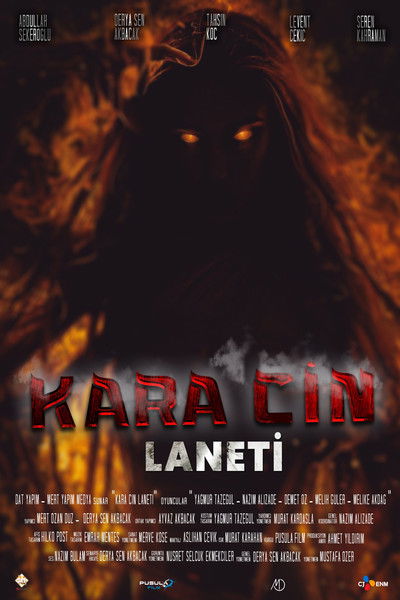 Póster de Kara Cin Laneti