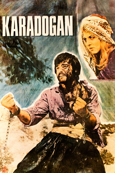Póster de Karadogan