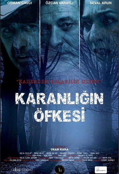 Póster de Karanligin Ofkesi