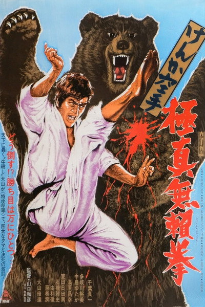 Póster de Karate Bear Fighter