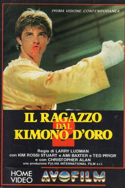 Póster de Karate Kimura 2