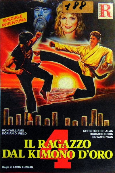 Póster de Karate Kimura 4