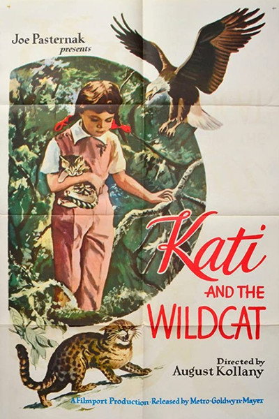 Póster de Kati és a vadmacska