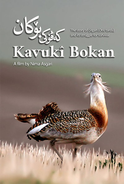 Póster de Kavuki Bokan