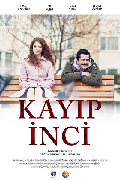 Póster de Kayip Inci
