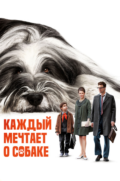 Póster de Kazhdyy mechtaet o sobake