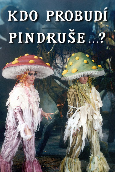 Póster de Kdo probudí Pindruse ...?
