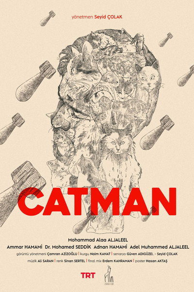 Póster de Kedi Adam