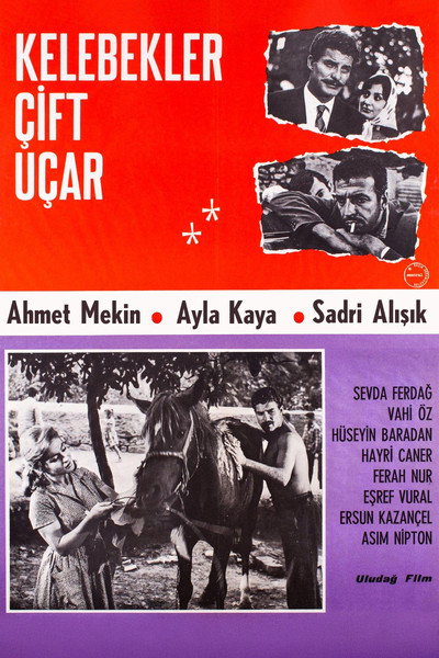 Póster de Kelebekler çift uçar